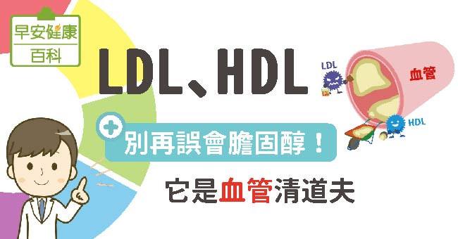 比率 ldl hdl HDLコレステロール