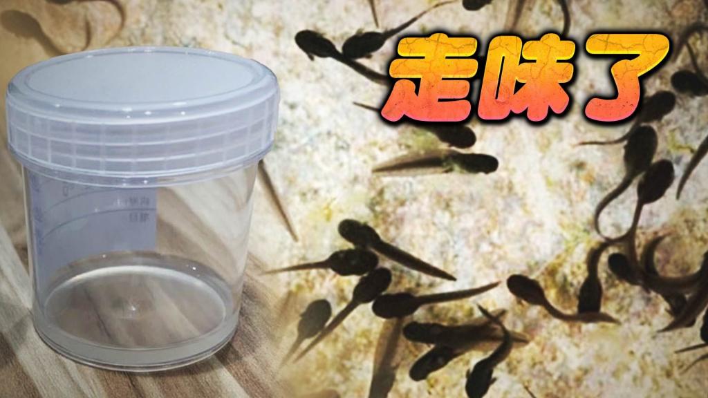 [圖]