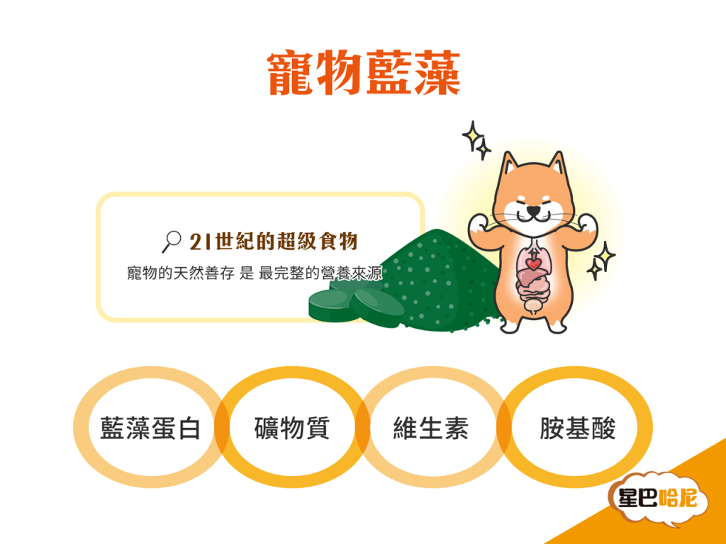 [圖]